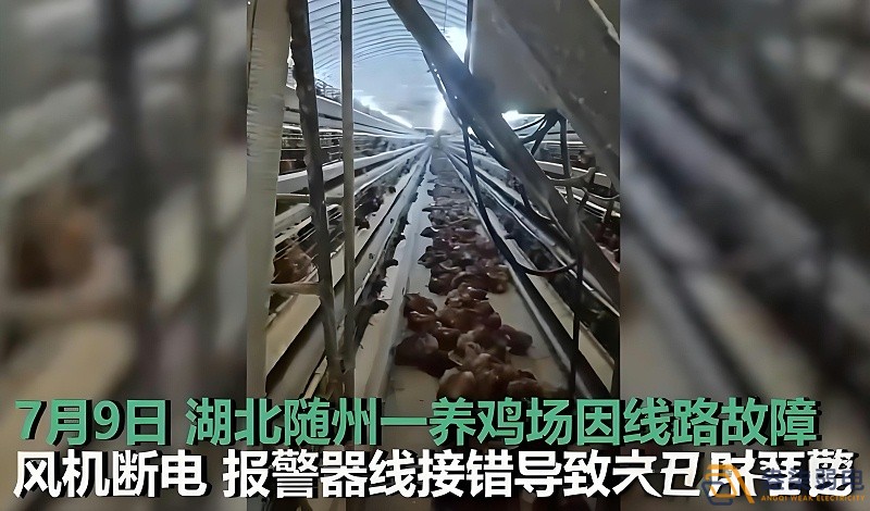 養(yǎng)雞場(chǎng)為什么要24h監(jiān)測(cè)溫濕度斷電報(bào)警器？